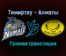 Темиртау — Алматы прямая трансляция 25 ноября 2021 года