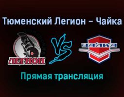 Тюменский Легион — Чайка прямая трансляция 19 ноября 2021 года