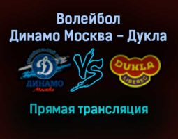 Волейбол Динамо Москва — Дукла прямая трансляция 23 ноября 2021 года