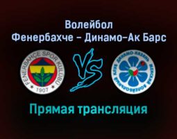 Волейбол Фенербахче — Динамо-Ак Барс прямая трансляция 25 ноября 2021 года