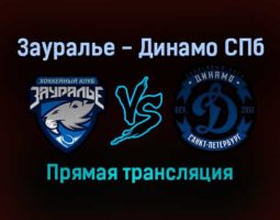 Зауралье — Динамо СПб прямая трансляция 17 ноября 2021 года