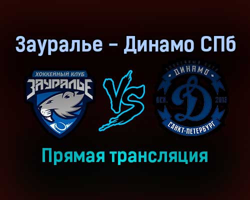 Зауралье — Динамо СПб прямая трансляция 17 ноября 2021 года