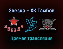 Звезда — ХК Тамбов прямая трансляция 29 ноября 2021 года