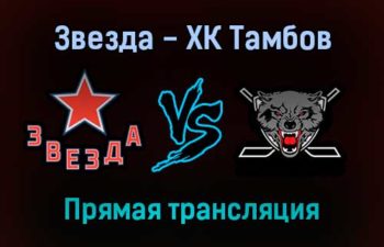 Звезда — ХК Тамбов прямая трансляция 29 ноября 2021 года
