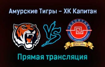 Амурские Тигры — ХК Капитан прямая трансляция 9 декабря 2021 года