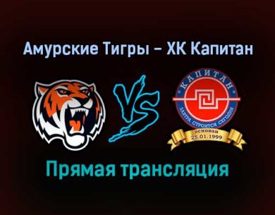 Амурские Тигры — ХК Капитан прямая трансляция 9 декабря 2021 года