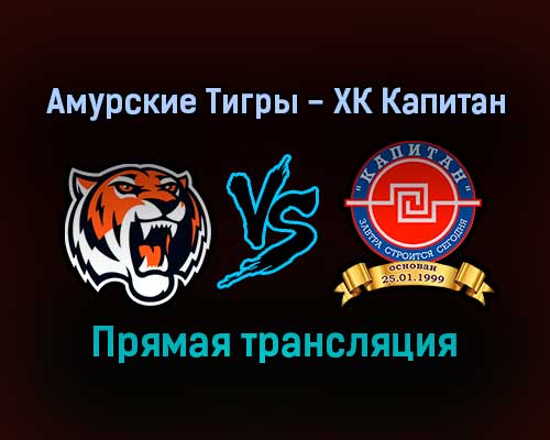 Амурские Тигры — ХК Капитан прямая трансляция 9 декабря 2021 года