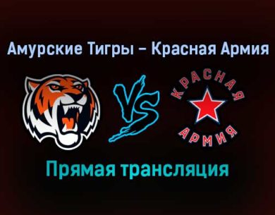 Амурские Тигры — Красная Армия прямая трансляция 13 декабря 2021 года