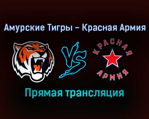 Амурские Тигры — Красная Армия прямая трансляция 13 декабря 2021 года Амурские Тигры — Красная Армия прямая трансляция 13 декабря 2021 года