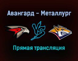 Авангард — Металлург Мг прямая трансляция 23 декабря 2021 года