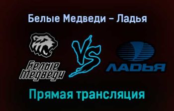 Белые Медведи — Ладья прямая трансляция 16 декабря 2021 года