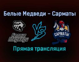 Белые Медведи — Сарматы прямая трансляция 12 декабря 2021 года