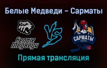 Белые Медведи — Сарматы прямая трансляция 12 декабря 2021 года