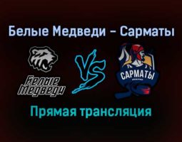 Белые Медведи — Сарматы прямая трансляция 13 декабря 2021 года