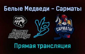 Белые Медведи — Сарматы прямая трансляция 13 декабря 2021 года