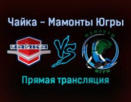 Чайка — Мамонты Югры прямая трансляция 21 декабря 2021 года