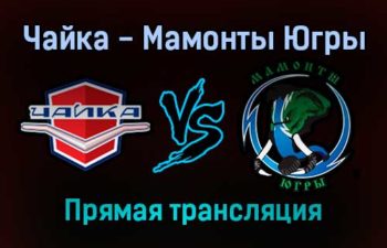 Чайка — Мамонты Югры прямая трансляция 21 декабря 2021 года