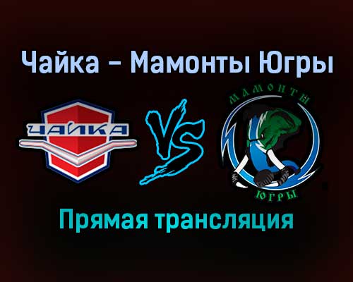 Чайка — Мамонты Югры прямая трансляция 21 декабря 2021 года Чайка — Мамонты Югры прямая трансляция 21 декабря 2021 года