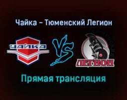 Чайка — Тюменский Легион прямая трансляция 16 декабря 2021 года