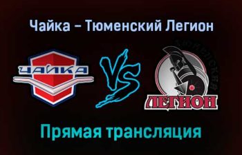 Чайка — Тюменский Легион прямая трансляция 17 декабря 2021 года