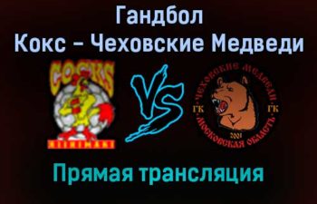 Гандбол Кокс — Чеховские Медведи прямая трансляция 7 декабря 2021 года