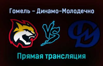 Гомель — Динамо-Молодечно прямая трансляция 13 декабря 2021 года