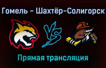 Гомель — Шахтёр-Солигорск прямая трансляция 11 декабря 2021 года