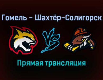 Гомель — Шахтёр-Солигорск прямая трансляция 11 декабря 2021 года