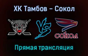 ХК Тамбов — Сокол прямая трансляция 10 декабря 2021 года