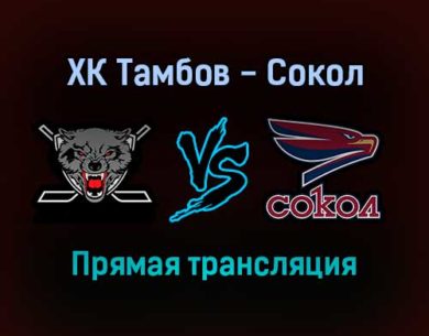 ХК Тамбов — Сокол прямая трансляция 10 декабря 2021 года