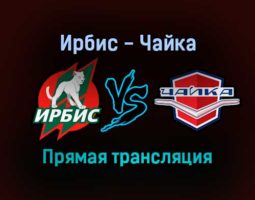 Ирбис — Чайка прямая трансляция 11 декабря 2021 года