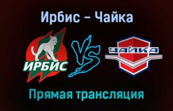 Ирбис — Чайка прямая трансляция 11 декабря 2021 года
