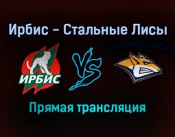 Ирбис — Стальные Лисы прямая трансляция 20 декабря 2021 года