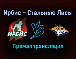 Ирбис — Стальные Лисы прямая трансляция 21 декабря 2021 года