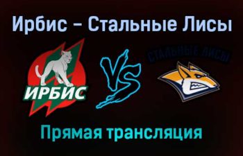 Ирбис — Стальные Лисы прямая трансляция 21 декабря 2021 года