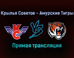 Крылья Советов — Амурские Тигры прямая трансляция 20 декабря 2021 года