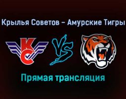 Крылья Советов — Амурские Тигры прямая трансляция 21 декабря 2021 года