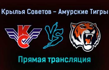 Крылья Советов — Амурские Тигры прямая трансляция 21 декабря 2021 года