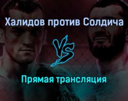 Мамед Халидов против Роберто Солдича прямая трансляция 18 декабря 2021 года