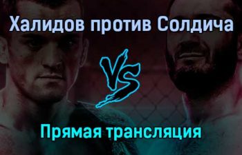 Мамед Халидов против Роберто Солдича прямая трансляция 18 декабря 2021 года
