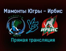 Мамонты Югры — Ирбис прямая трансляция 6 декабря 2021 года