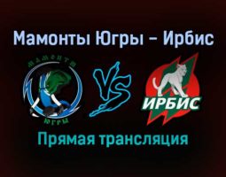 Мамонты Югры — Ирбис прямая трансляция 7 декабря 2021 года
