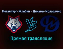 Металлург-Жлобин — Динамо-Молодечно прямая трансляция 11 декабря 2021 года