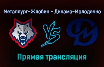 Металлург-Жлобин — Динамо-Молодечно прямая трансляция 11 декабря 2021 года