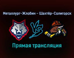 Металлург-Жлобин — Шахтёр-Солигорск прямая трансляция 7 декабря 2021 года
