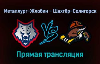 Металлург-Жлобин — Шахтёр-Солигорск прямая трансляция 7 декабря 2021 года