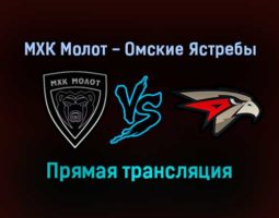 МХК Молот — Омские Ястребы прямая трансляция 13 декабря 2021 года