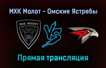 МХК Молот — Омские Ястребы прямая трансляция 13 декабря 2021 года