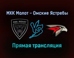 МХК Молот — Омские Ястребы прямая трансляция 14 декабря 2021 года