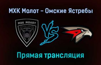 МХК Молот — Омские Ястребы прямая трансляция 14 декабря 2021 года